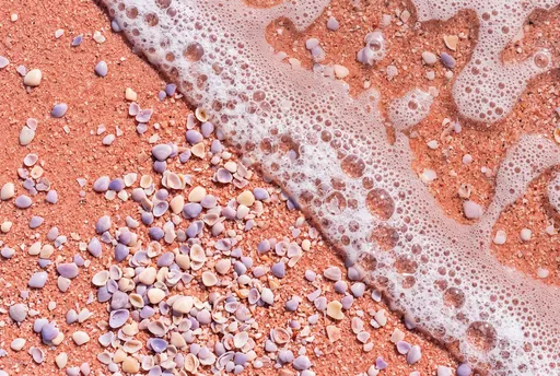 Overhead Macro of Pink Sand and Shells