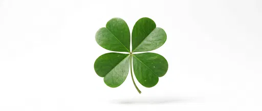 Floating Four-Leaf Clover on White Background