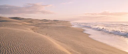 Pastel Sunrise Over Coastal Sand Dunes