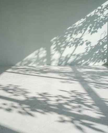 Dappled Tree Shadows in Minimalist Studio