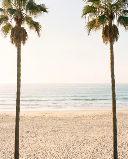 Two Palm Trees Framing Sandy Beach