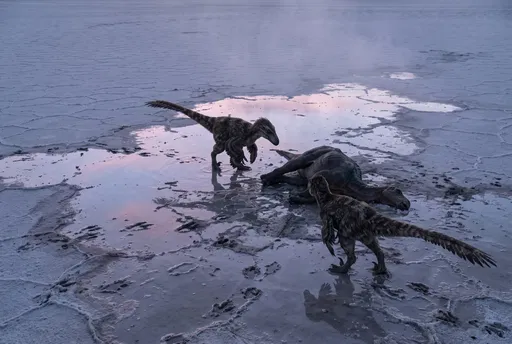 Feathered Raptors Circling Carcass on Salt Flat