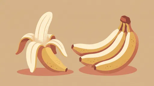 Flat Illustration of Peeled and Whole Bananas