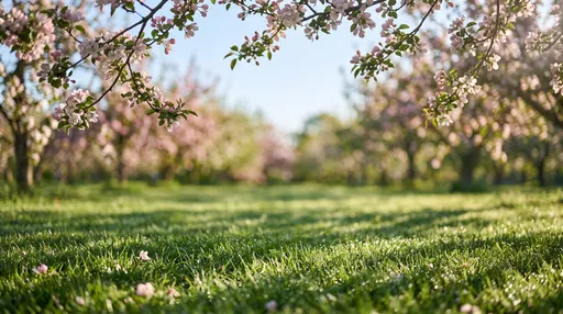 Spring Orchard with Blossoms and Dewy Grass