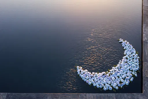 Blue Rose Crescent Floating on Dark Pool