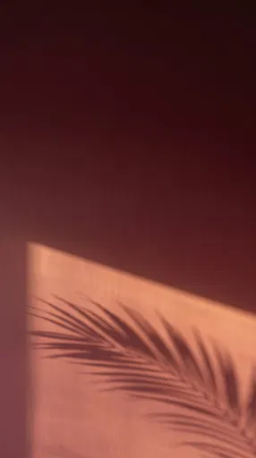Palm Shadow on Maroon Wall