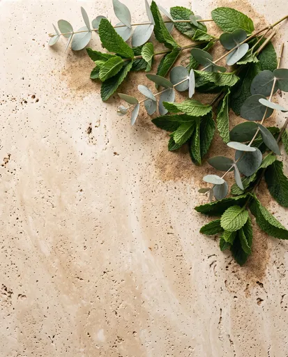 Eucalyptus and Mint on Travertine