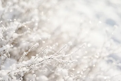 Frosted Branches With Silver Fairy Lights