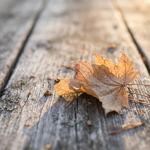 Dry Maple Leaves on Weathered Wood
