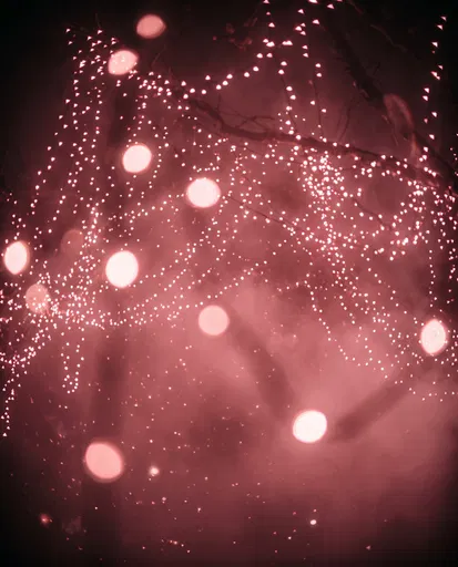 Pink Fairy Lights and Bokeh Night Background