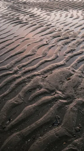 Wet Sand Ripples Reflecting Dusk Sky