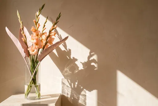 Peach Gladiolus in Glass Vase with Shadows