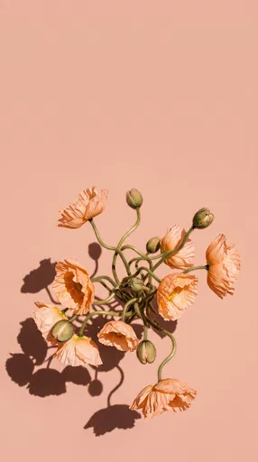 Peach Poppies on Blush Background