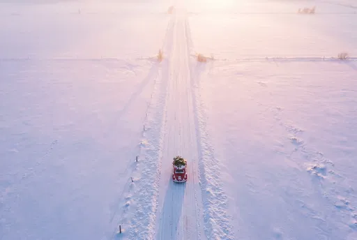 Red Car Carrying Christmas Tree on Snowy Road