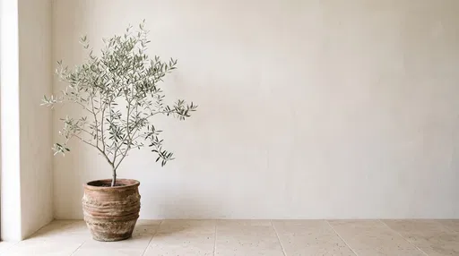 Potted Olive Tree in Minimalist Corner