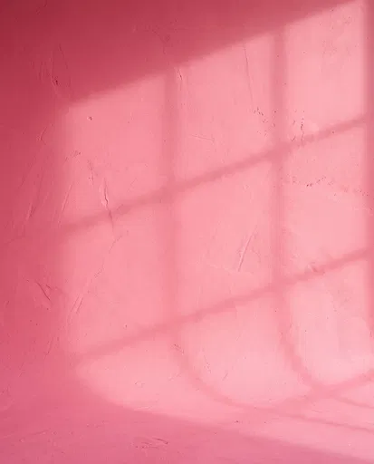 Pink Plaster Wall With Window Shadows