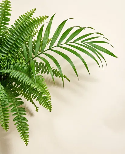 Green Fern and Palm Leaves on Cream