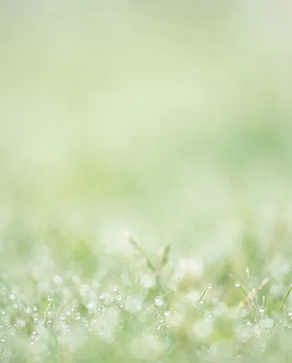 Soft Pastel Green Meadow Bokeh Background