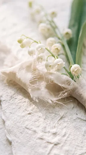 Lily of the Valley on Paper