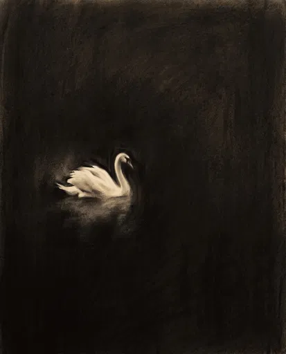 Charcoal Drawing of a Solitary Swan