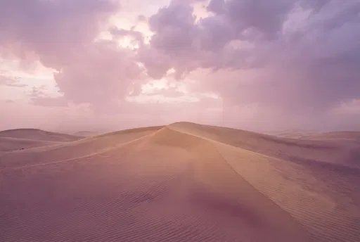 Pastel Pink Desert Sand Dunes at Dusk