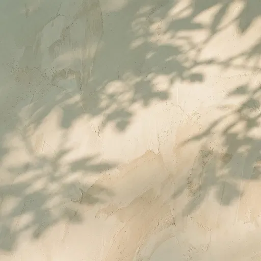 Sunlight and Leaf Shadows on Textured Wall