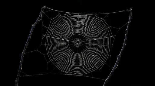 Illuminated Spider Web Between Two Twigs
