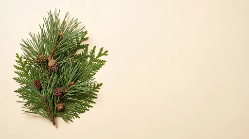 Pine and Cedar Sprig Flat Lay