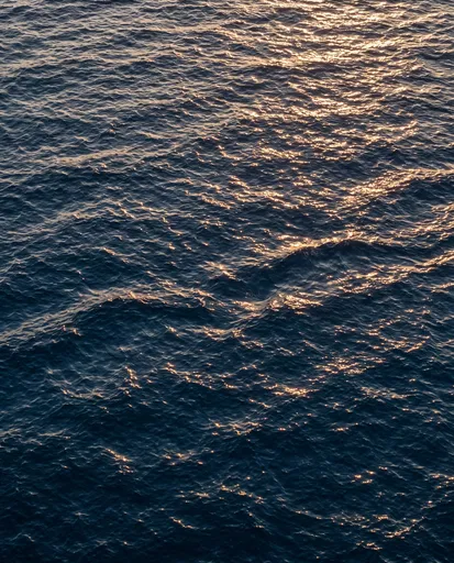 Golden Hour Light on Ocean Waves