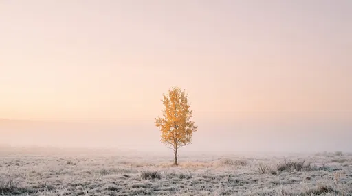 Lone Golden Tree in Frosty Meadow
