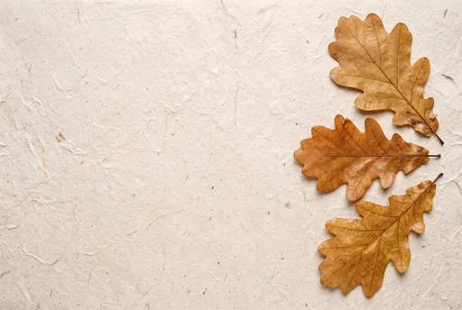 Three Autumn Oak Leaves on Textured Paper