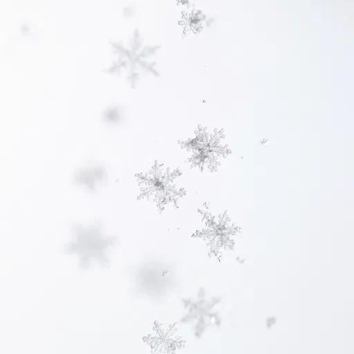 Delicate Falling Snowflakes on White Background