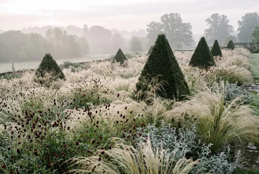 Misty Estate Garden With Yew Topiary