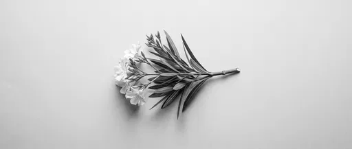 Monochrome Oleander Branch on Gray Surface