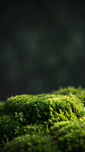 Macro Green Moss Podium Background