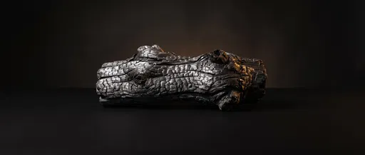 Charred Wooden Log on Dark Background