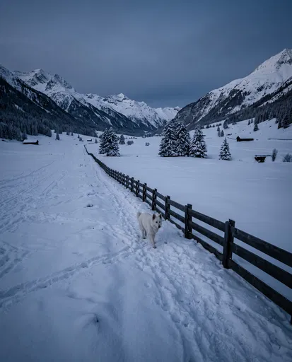 White Shepherd Walking in Snowy Alpine Valley