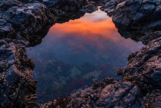 Sunset Reflection in Coastal Tide Pool