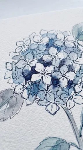 Blue Hydrangea Ink and Watercolor Sketch