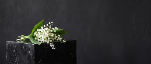 Lily of the Valley on Black Marble