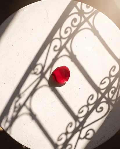 Red Rose Petal on Sunlit Table