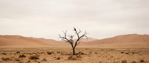 Solitary Vulture on Dead Desert Tree