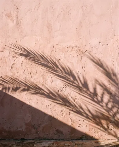 Palm Shadow on Blush Stucco Wall