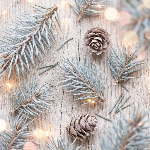Frosted Blue Spruce and Pinecones Flat Lay