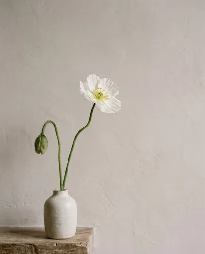 White Poppy in Minimalist Ceramic Vase
