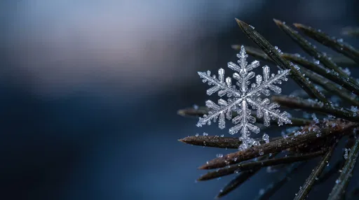 Macro Snowflake on Pine Needle