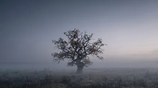 Lone Oak Tree in Misty Twilight Meadow