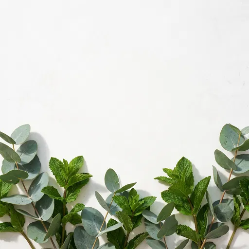Eucalyptus and Mint Flat Lay Border