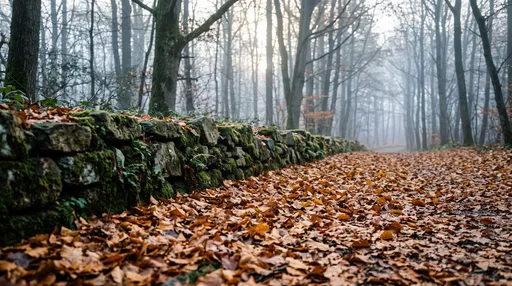 Misty Autumn Forest Path and Stone Wall