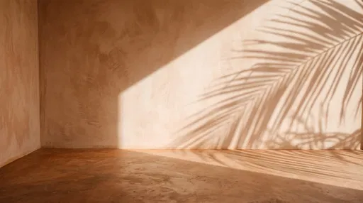 Terracotta Plaster Wall with Palm Shadow